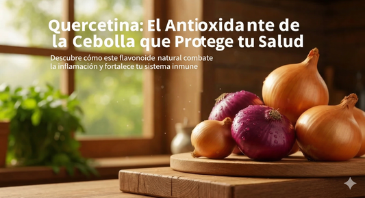 Quercetina: El Antioxidante de la Cebolla que Protege tu Salud