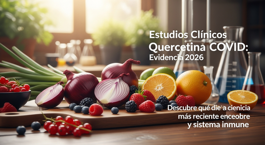 Estudios Clínicos Quercetina COVID: Evidencia 2026